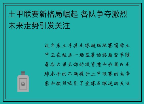 土甲联赛新格局崛起 各队争夺激烈 未来走势引发关注
