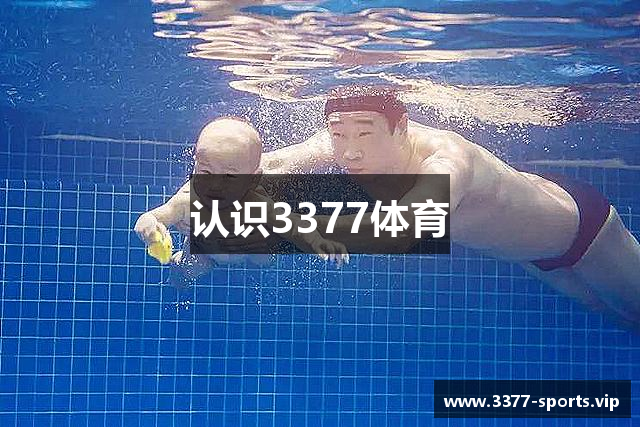 认识3377体育